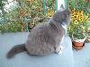 DSCF0039s.JPG (2786 bytes)