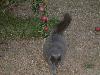 DSCF0041s.JPG (2416 bytes)