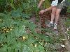 DSCF0042s.JPG (3285 bytes)