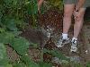 DSCF0043s.JPG (2691 bytes)
