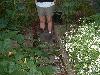 DSCF0044s.JPG (3396 bytes)