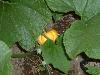 DSCF0046s.JPG (2662 bytes)