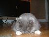 DSCF0055s.JPG (1861 bytes)