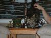 DSCF0062s.JPG (2698 bytes)