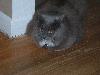DSCF0070s.JPG (1701 bytes)